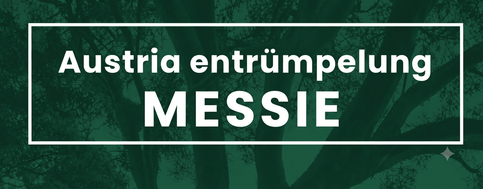Austria Entrümpelung Messie Logo